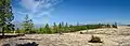 The edge of the sandy area.
