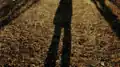 Self-portrait from the video work "In gross steps", 2017