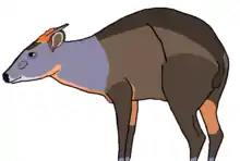 Drawing of bovid