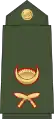 LieutenantNepali: उपसेनानी, romanized:&nbsp;Upasēnānī(Nepali Army)