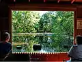 Window by the Pond