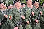 Marines of the Mariupol-Khingan Naval Infantry of the DPR People's Militia with EMR uniforms, wearing iconic telnyashkas thereunder.
