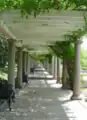 Arbor
