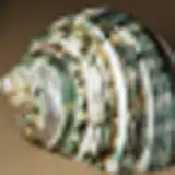 Bicubic Interpolation