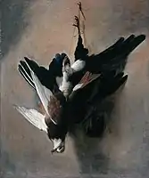 A Pigeon and Magpie, 1685, Aberdeen Art Gallery
