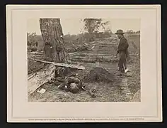 "Contrast: Federal buried, rebel unburied, where they fell at the Battle of Antietam"