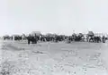 A train of ox-drawn carts leaving Trelew, c. 1880