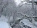 Near Fulneck golf course, in winter