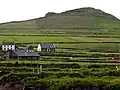 An Bhinn Mheanach