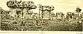A drawing of Ciudad Encantada, circa 1875, published in Annals of the Spanish Society of Natural History