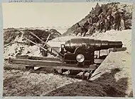 The Armstrong gun at the fort