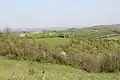 Balinović - panorama