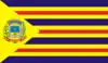 Flag of Soledade