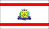 Flag of Santa Cruz da Esperança