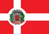 Flag of Presidente Castelo Branco