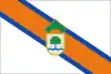 Flag of San Martín del Tesorillo