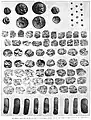 Bhir Mound coin hoard sample, with Achaemenid, Greek and Indian coinage
