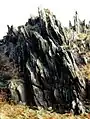Roc'h Trevezel