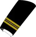 Chief Officerwith certificate of rank