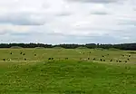 Pair of bowl barrows 405 m east of East Water Drove (Part of Priddy Nine Barrows Cemetery)