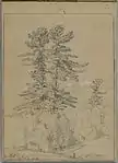 Sketchbook Conway New Hampshire - Brooklyn Museum