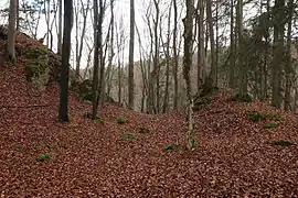 The clearest profile of the moat and the advance rampart in the northeast (November&nbsp;2013)