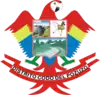 Coat of arms of Codo de Pozuzo