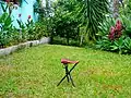 Three-legged folding camping stool, may be suited for uneven terrain