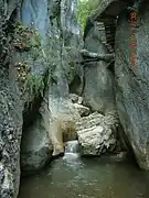 Cheile Șugăului&nbsp;[ro]