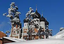 Cathedral of the Nativity of the Blessed Virgin Mary