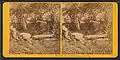 Derelict church yard - Stereoscopic image by Kilburn brothers.