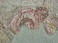 Closeup of Venus at her toilette with Mars in Exedra "o"