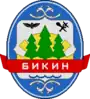 Bikinsky District