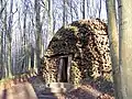 Coppice Cloud Chamber