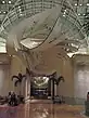 Stella, Cornucopia, c. 2000; sculpture in fiberglass