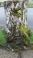 Fairy door in Corvallis, Oregon