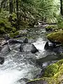 Welcome Creek in spring
