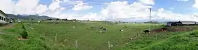 Desa Cattle Dairy Farm in the valley.