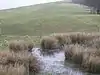 Inkpen Hill