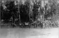 Dutch column moving forward to Denpasar.