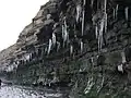 East Quantoxhead cliffs