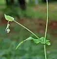 in Hyderabad, India.