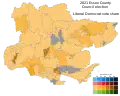 Liberal Democrats
