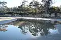 Tree roots counter sea erosion at Daniel's Bay, Lunawanna (2017)