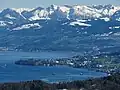 The village of Au and Au peninsula as seen from Felsenegg
