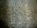Bark texture