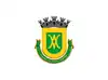 Flag of Borda da Mata