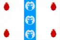 Flag of Poddorsky District
