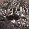 Flower garden, Southern Tier, NY