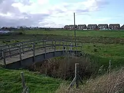Oare Meadow